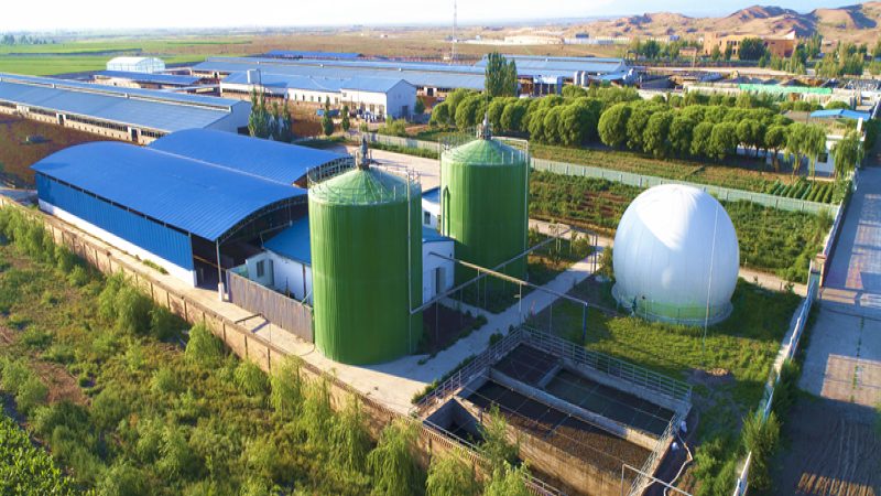 农民专业合作社注销公告撰写要点解析