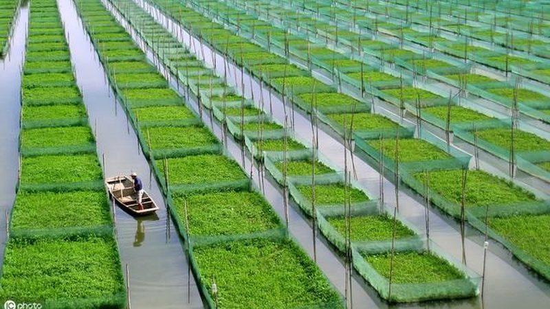 水果批发市场税收优惠申请方法解析