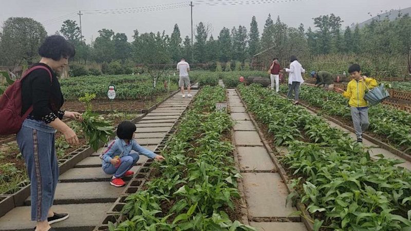 广东生态农业补贴申请，流程详解助您轻松上手