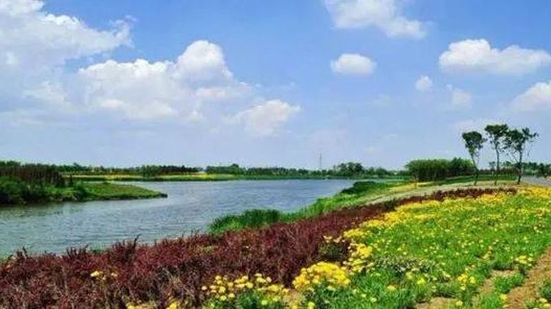 农业生态园规划设计：打造可持续发展的绿色蓝图**