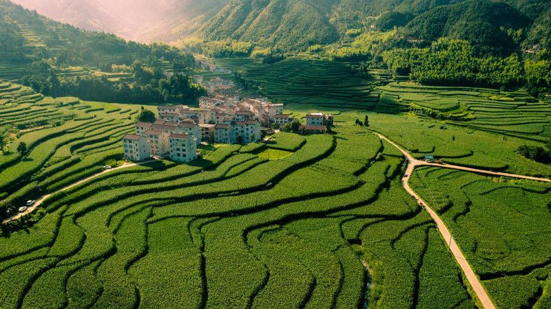 水培水果种植设备：价格与参数解析
