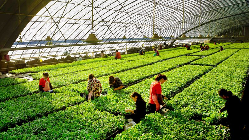 2025年全国农产品批发市场展会排期怎么看