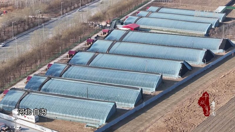 农业种植机械：价格之外，你还需要了解这些