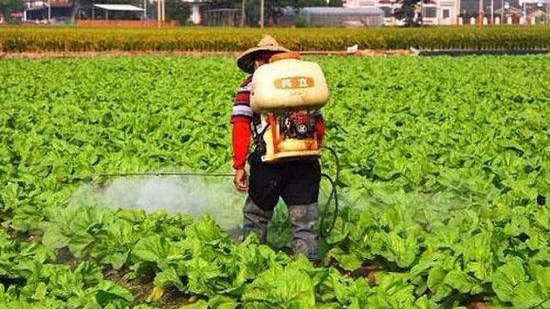 食品厂绿色食品认证，通过率背后的秘密